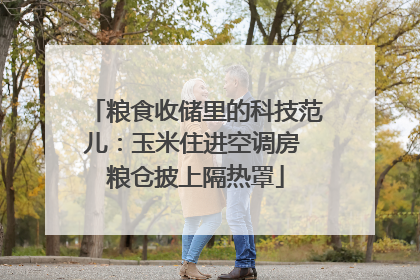 粮食收储里的科技范儿：玉米住进空调房 粮仓披上隔热罩