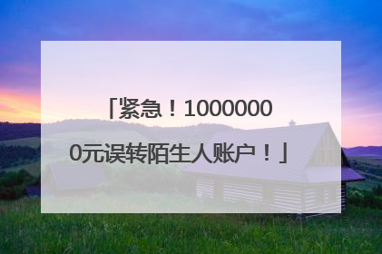 紧急！10000000元误转陌生人账户！