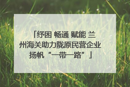 纾困 畅通 赋能 兰州海关助力陇原民营企业扬帆“一带一路”