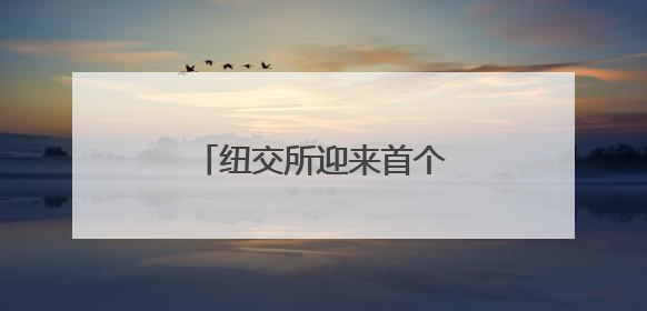纽交所迎来首个稳定币IPO