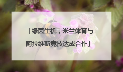绿茵生机，米兰体育与阿拉维斯竞技达成合作