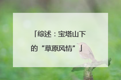 综述：宝塔山下的“草原风情”