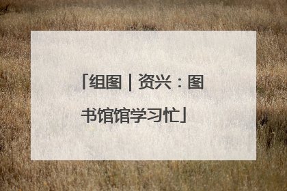 组图｜资兴：图书馆馆学习忙