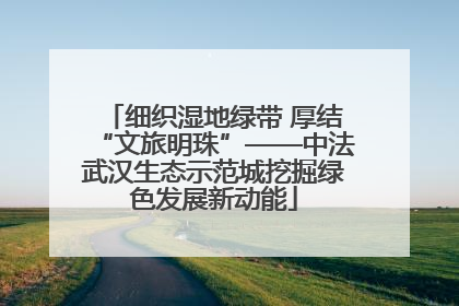细织湿地绿带 厚结“文旅明珠”——中法武汉生态示范城挖掘绿色发展新动能