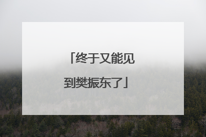 终于又能见到樊振东了