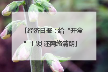 经济日报：给“开盒”上锁 还网络清朗