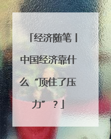经济随笔丨中国经济靠什么“顶住了压力”？