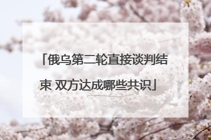 俄乌第二轮直接谈判结束 双方达成哪些共识