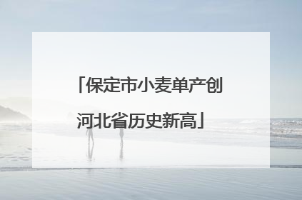 保定市小麦单产创河北省历史新高