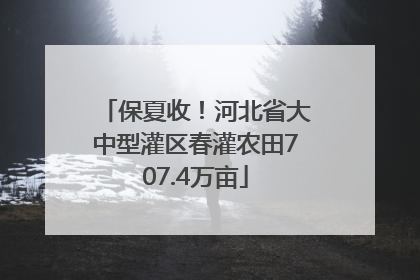 保夏收！河北省大中型灌区春灌农田707.4万亩
