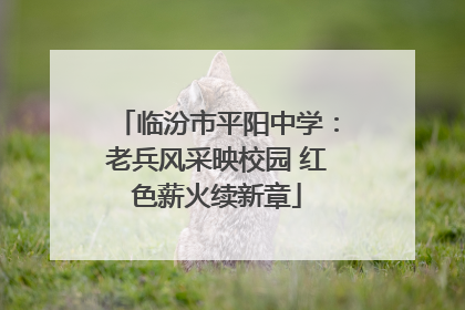 临汾市平阳中学：老兵风采映校园 红色薪火续新章