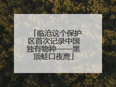 临沧这个保护区首次记录中国独有物种——黑顶蛙口夜鹰
