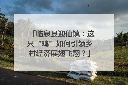 临泉县迎仙镇：这只“鸡”如何引领乡村经济展翅飞翔？