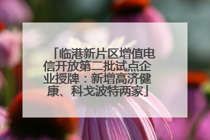 临港新片区增值电信开放第二批试点企业授牌：新增高济健康、科戈波特两家