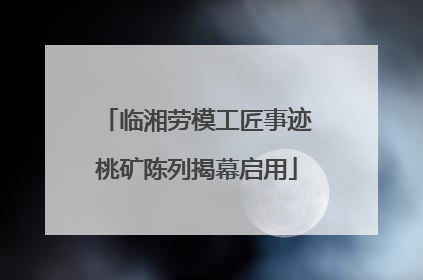 临湘劳模工匠事迹桃矿陈列揭幕启用