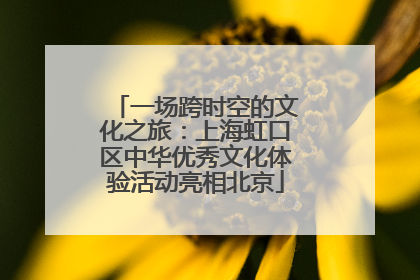 一场跨时空的文化之旅：上海虹口区中华优秀文化体验活动亮相北京