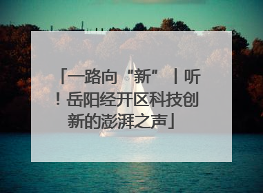 一路向“新”丨听！岳阳经开区科技创新的澎湃之声