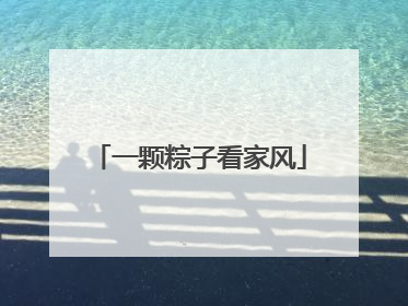 一颗粽子看家风