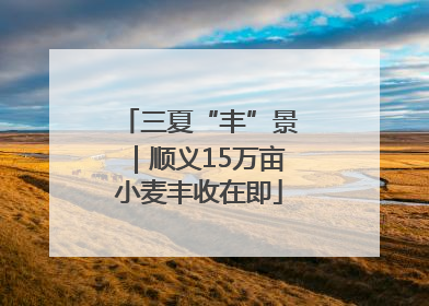 三夏“丰”景｜顺义15万亩小麦丰收在即