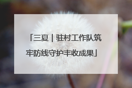 三夏｜驻村工作队筑牢防线守护丰收成果