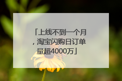上线不到一个月，淘宝闪购日订单量超4000万