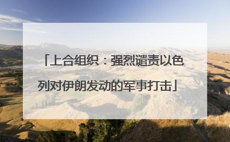 上合组织：强烈谴责以色列对伊朗发动的军事打击