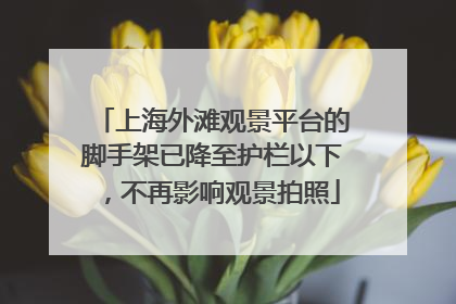 上海外滩观景平台的脚手架已降至护栏以下，不再影响观景拍照