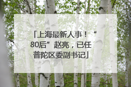 上海最新人事！“80后”赵亮，已任普陀区委副书记
