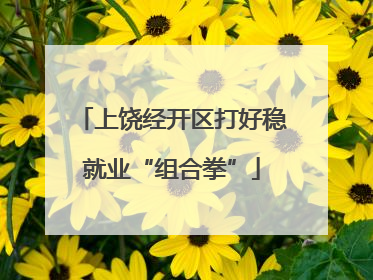 上饶经开区打好稳就业“组合拳”