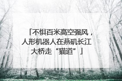 不惧百米高空强风，人形机器人在燕矶长江大桥走“猫道”