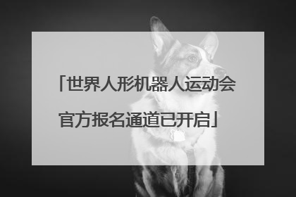世界人形机器人运动会官方报名通道已开启
