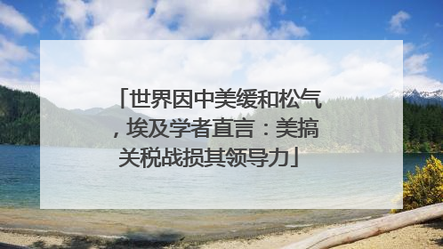 世界因中美缓和松气，埃及学者直言：美搞关税战损其领导力