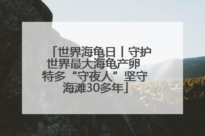 世界海龟日丨守护世界最大海龟产卵 特多“守夜人”坚守海滩30多年
