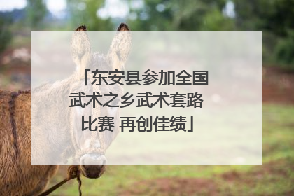 东安县参加全国武术之乡武术套路比赛 再创佳绩