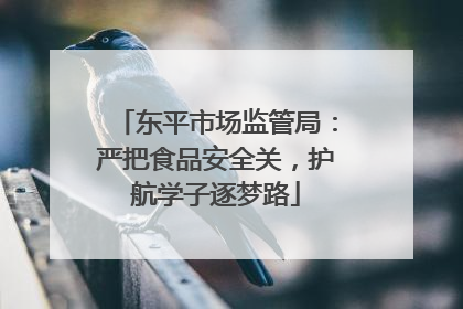 东平市场监管局：严把食品安全关，护航学子逐梦路