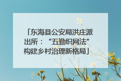 东海县公安局洪庄派出所：“五勤织网法”构建乡村治理新格局
