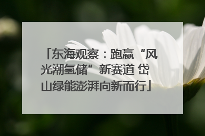 东海观察：跑赢“风光潮氢储”新赛道 岱山绿能澎湃向新而行
