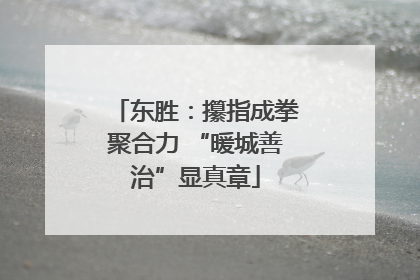 东胜：攥指成拳聚合力 “暖城善治”显真章
