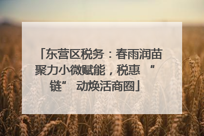 东营区税务：春雨润苗聚力小微赋能，税惠 “链” 动焕活商圈