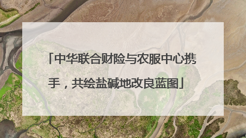 中华联合财险与农服中心携手，共绘盐碱地改良蓝图