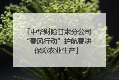 中华财险甘肃分公司“春风行动”护航春耕 保障农业生产