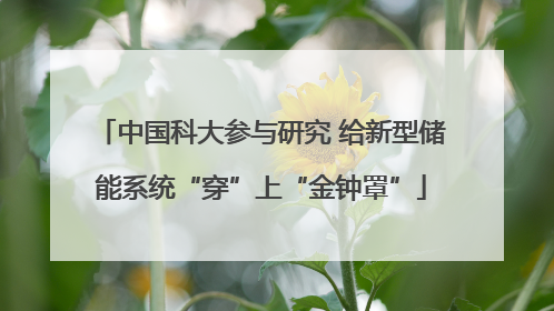 中国科大参与研究 给新型储能系统“穿”上“金钟罩”