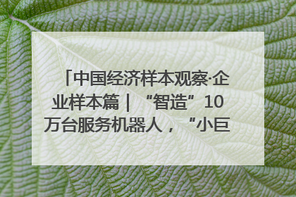 中国经济样本观察·企业样本篇｜“智造”10万台服务机器人，“小巨人”擎朗有大梦想