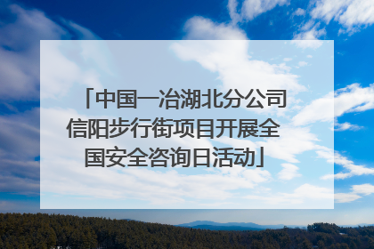 中国一冶湖北分公司信阳步行街项目开展全国安全咨询日活动