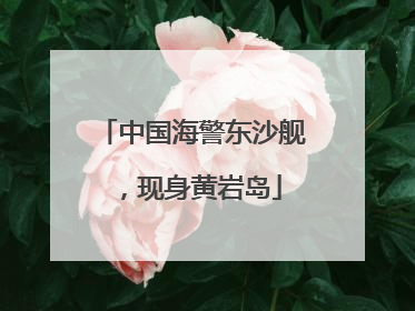 中国海警东沙舰，现身黄岩岛