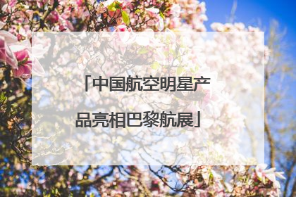 中国航空明星产品亮相巴黎航展