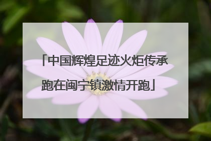中国辉煌足迹火炬传承跑在闽宁镇激情开跑
