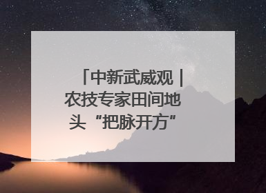 中新武威观|农技专家田间地头“把脉开方”送“及时雨”