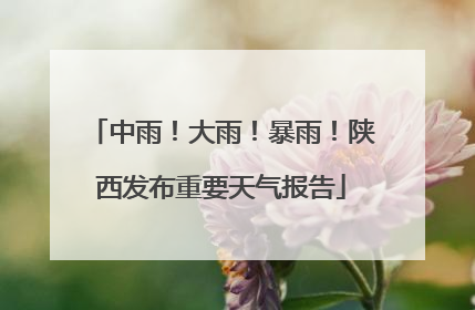 中雨！大雨！暴雨！陕西发布重要天气报告
