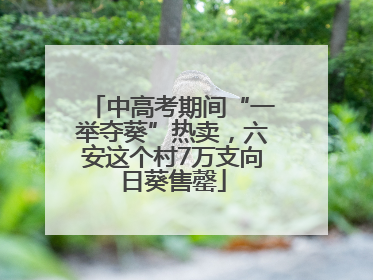中高考期间“一举夺葵”热卖，六安这个村7万支向日葵售罄